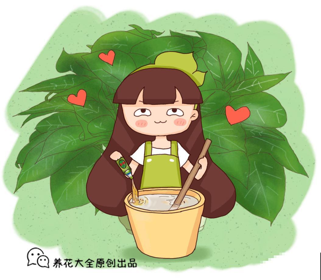 过期牛奶、啤酒也能来养花，成本低肥力足，花色好长得旺