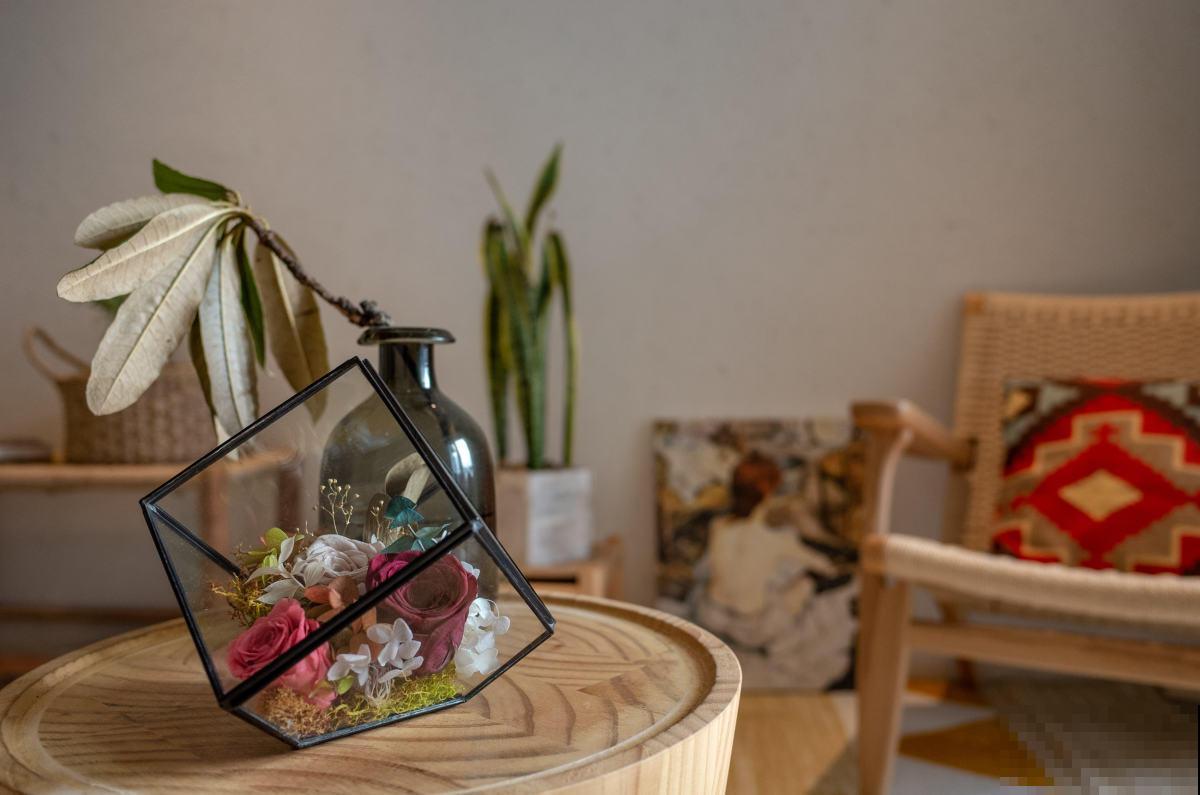 玫瑰原来是月季,养了这么久,还不知道名! 玫瑰原来是月季,养了这么久,还不知道名!