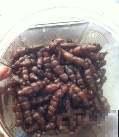 地里挖出一把块茎，长得像是白蚕，脆脆的特好