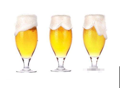 啤酒为什么叫啤酒？都是因为这种花，加入一点口感变好！