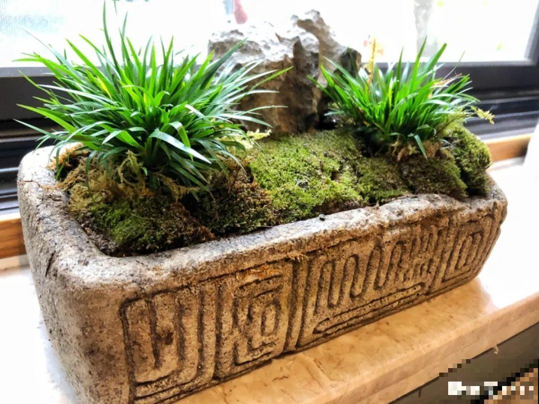 小花盆里养花,选对品种很重要,也能开花爆盆 小花盆里养花,选对品种很重要,也能开花爆盆