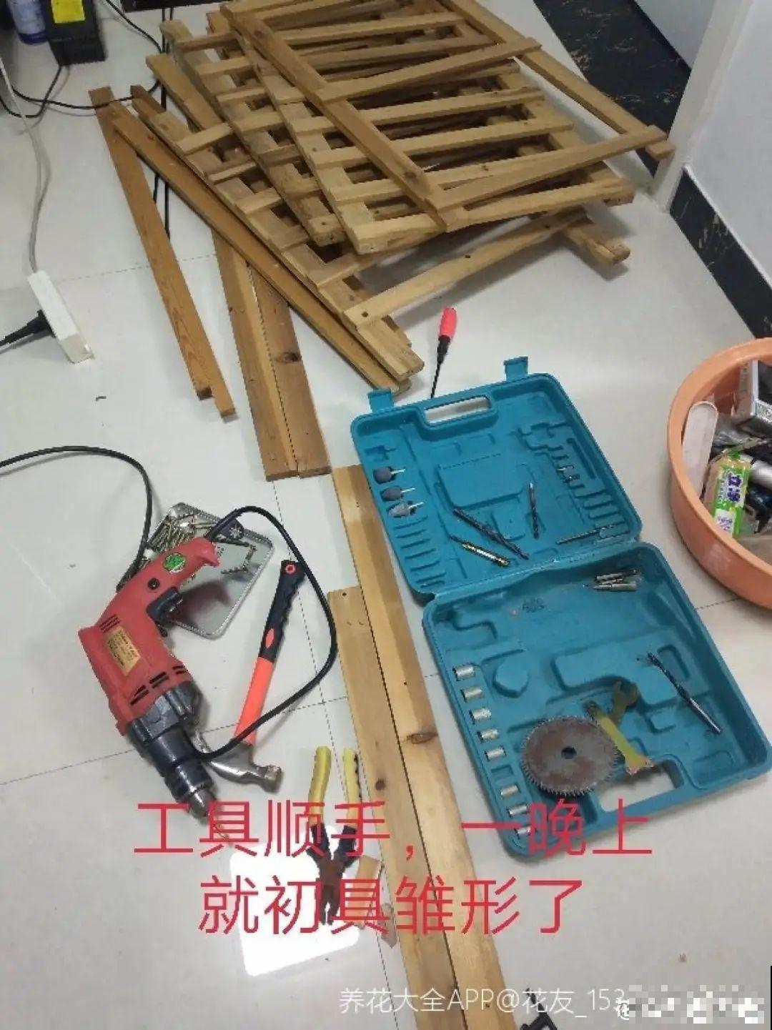 养多肉不用买花盆,只需一些水泥,自己就能DIY做花盆 养多肉不用买花盆,只需一些水泥,自己就能DIY做花盆