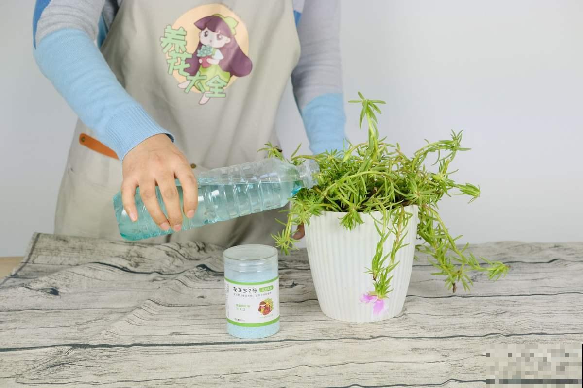 花多多到底该怎么用?看完你就全明白了 花多多到底该怎么用?看完你就全明白了