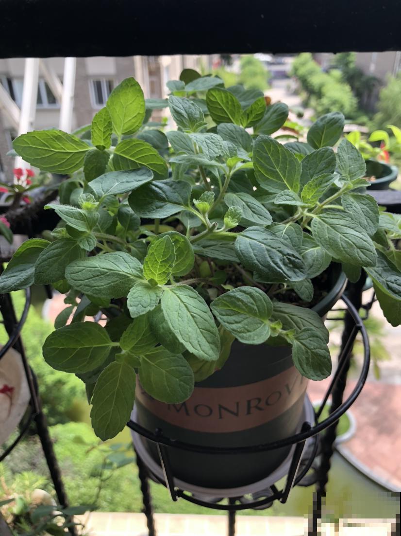 6个除湿小妙招,轻松解决潮湿问 6个除湿小妙招,轻松解决潮湿问