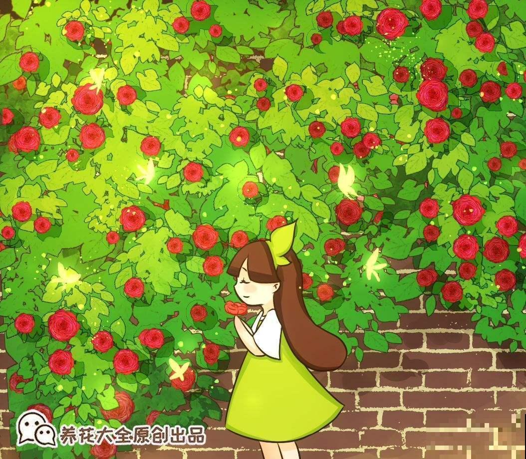 这5种花放阳台，一不小心爬到邻居家去，拦都拦不住！