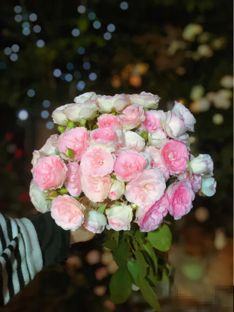 自己建个花园，希望能有一块地，安静思考，静静赏花