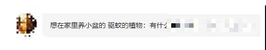 后台关于养花的问题,挑选4位花友解答,大家踊跃留言 后台关于养花的问题,挑选4位花友解答,大家踊跃留言