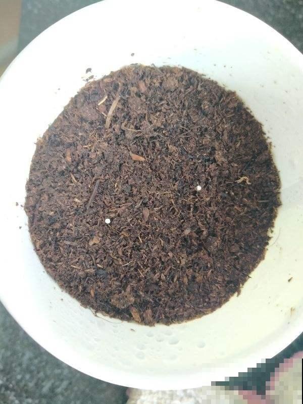 这份养花用土大全,教你如何选好土,从此换土也省事! 这份养花用土大全,教你如何选好土,从此换土也省事!