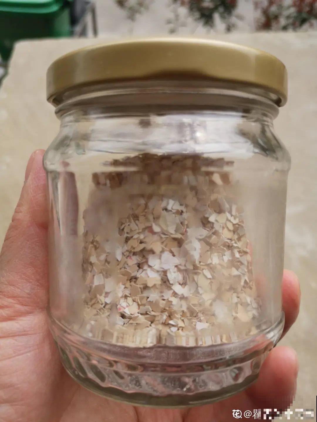 自制杀虫剂，7天喷一次，养花特干净