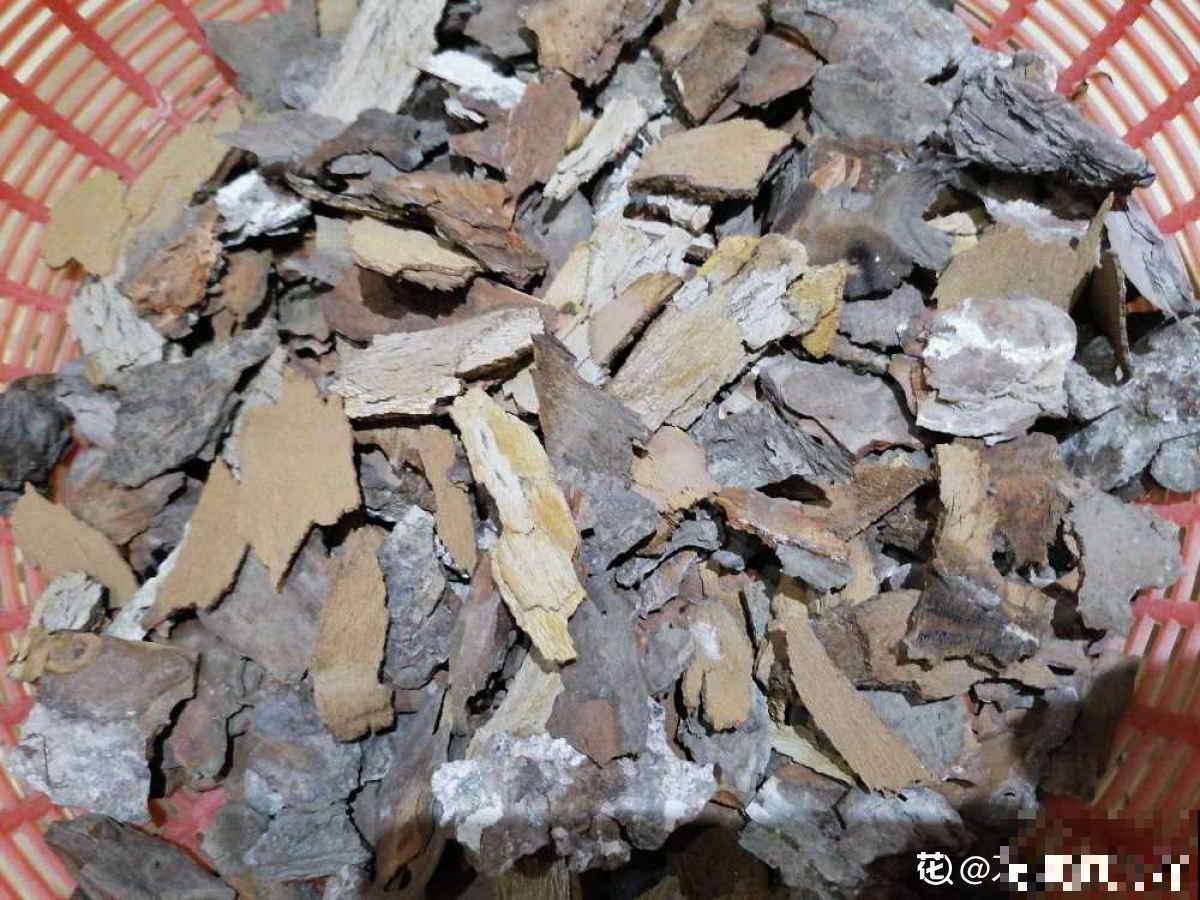 春天的野外,真是惊喜多多,花和土壤一样都不少 春天的野外,真是惊喜多多,花和土壤一样都不少