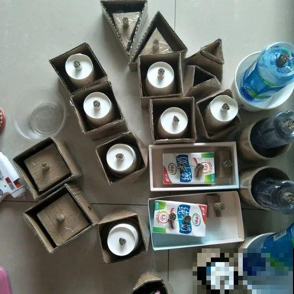 养多肉不用买花盆,只需一些水泥,自己就能DIY做花盆 养多肉不用买花盆,只需一些水泥,自己就能DIY做花盆