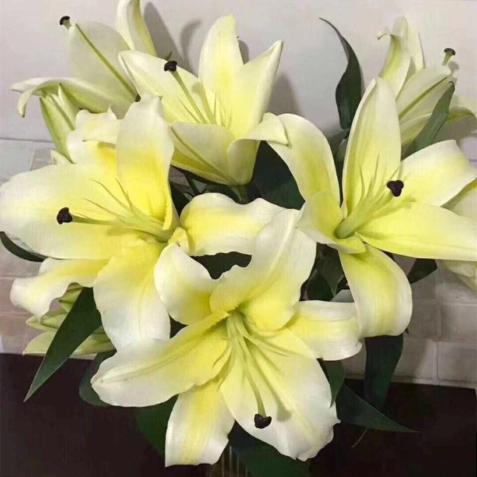 3种夏天“移动香水”，开花旺盛，满屋子都是香味