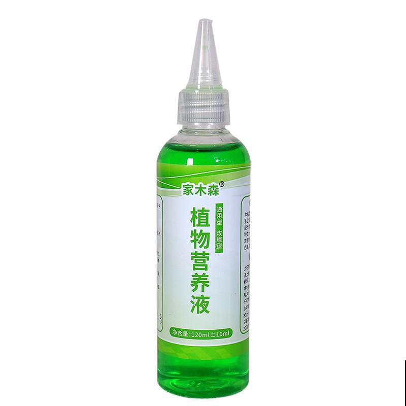 1种花只有1片叶,只需要一碗清水就能养,现在养到夏天长满缸! 1种花只有1片叶,只需要一碗清水就能养,现在养到夏天长满缸!