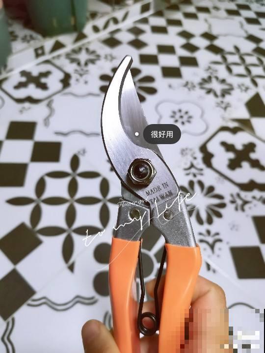 养花常备的必需品，千万别贪小便宜，不然东西不好还浪费钱