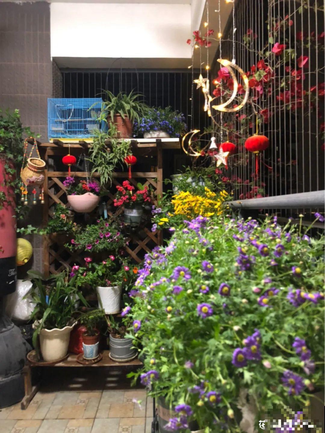 阳台虽小，种点花草，也能变成小花园