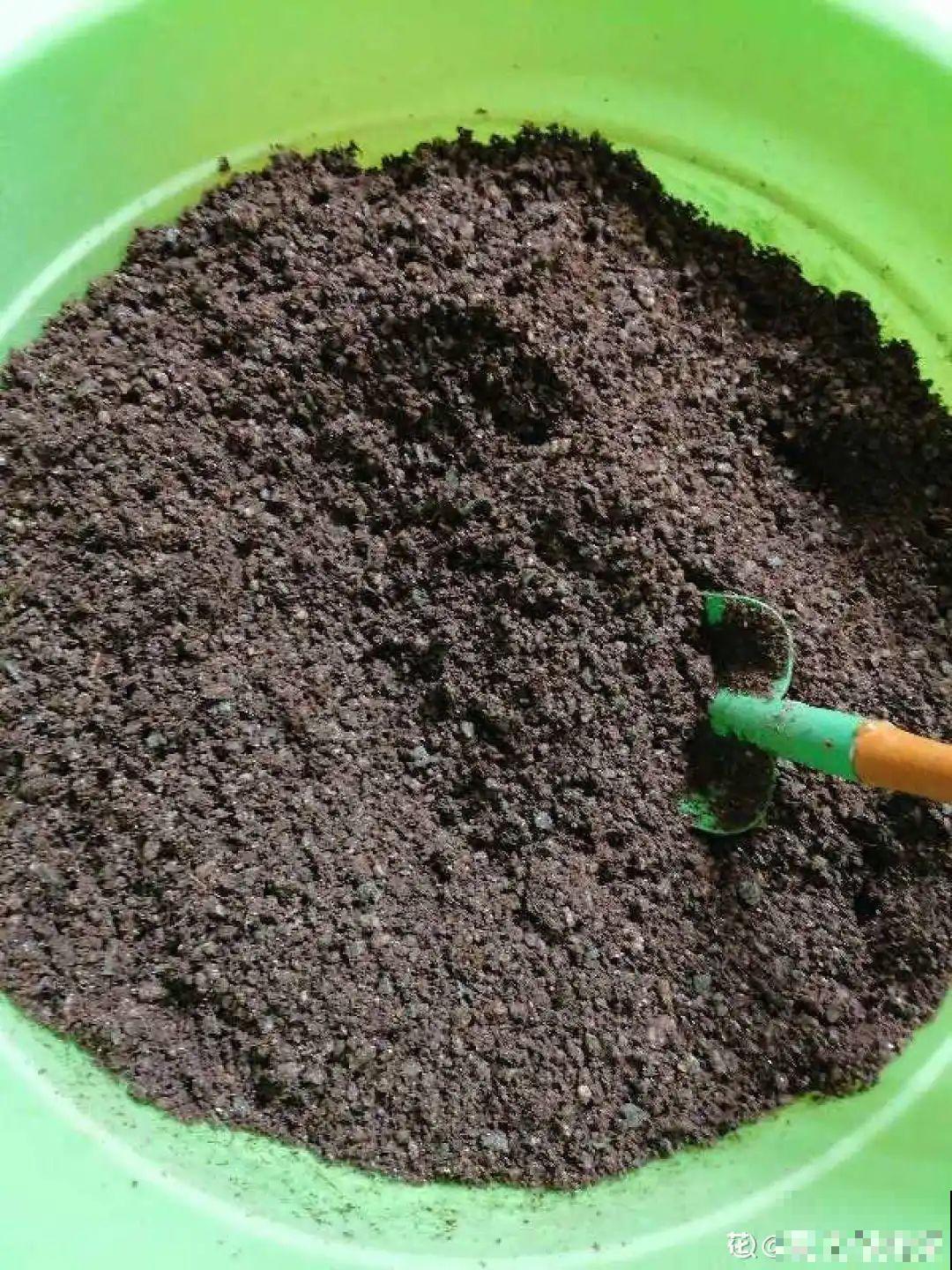 养多肉不用买花盆,只需一些水泥,自己就能DIY做花盆 养多肉不用买花盆,只需一些水泥,自己就能DIY做花盆