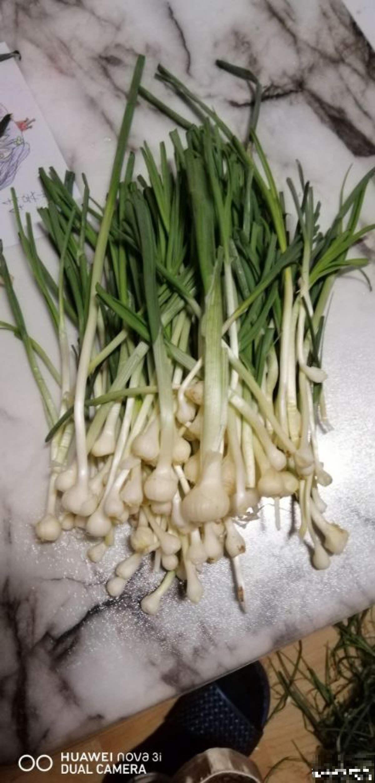 5月初长势超旺的野菜，山上溜达一圈，能摘好几袋子