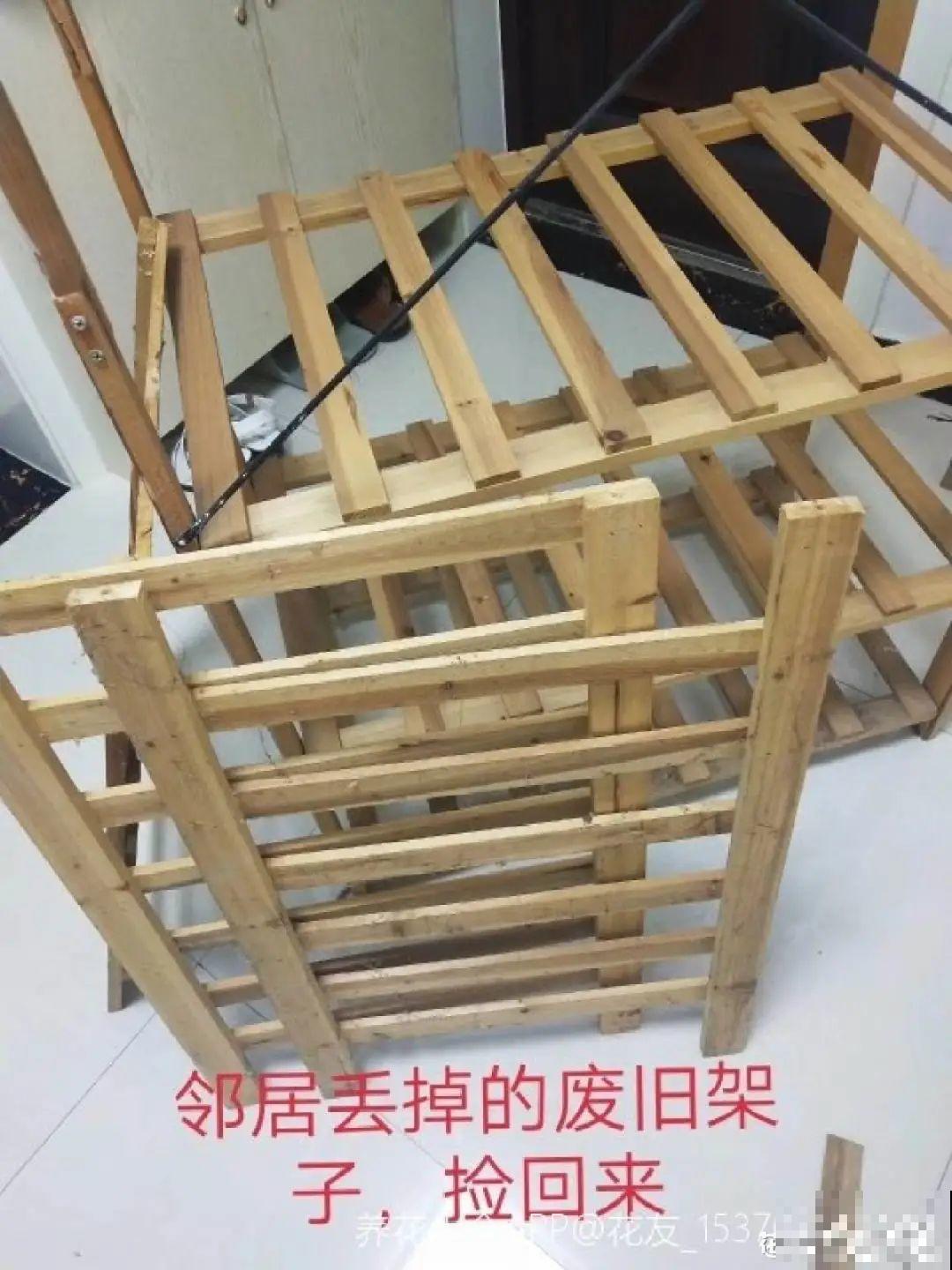 养多肉不用买花盆,只需一些水泥,自己就能DIY做花盆 养多肉不用买花盆,只需一些水泥,自己就能DIY做花盆