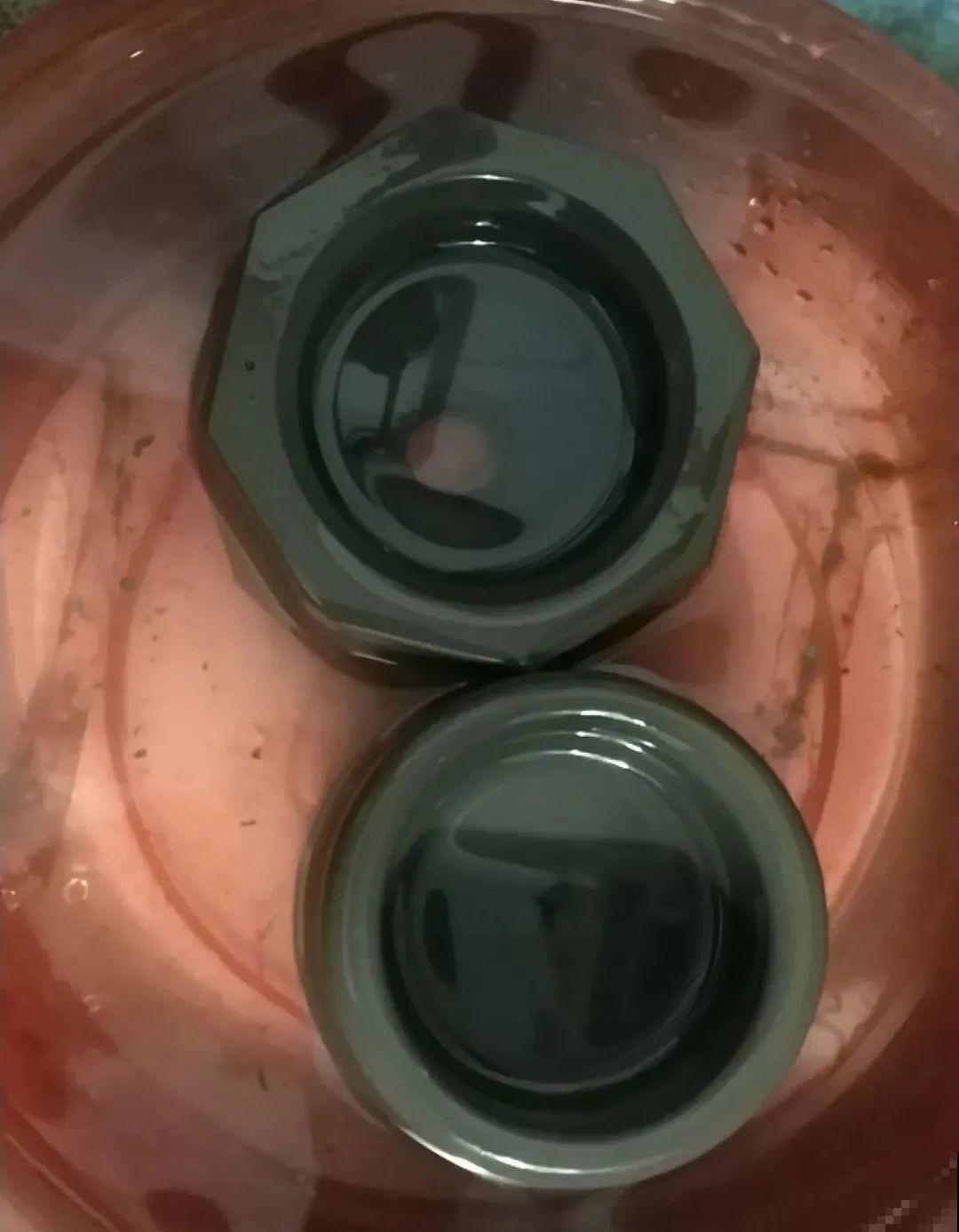 养多肉不用买花盆,只需一些水泥,自己就能DIY做花盆 养多肉不用买花盆,只需一些水泥,自己就能DIY做花盆