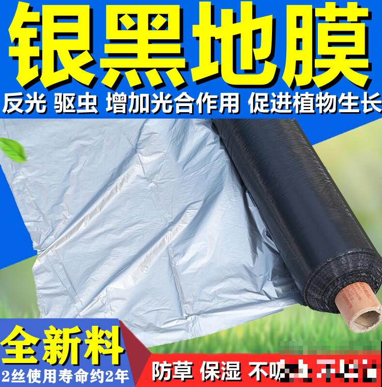 无花果也有花，你吃的部分，就是花