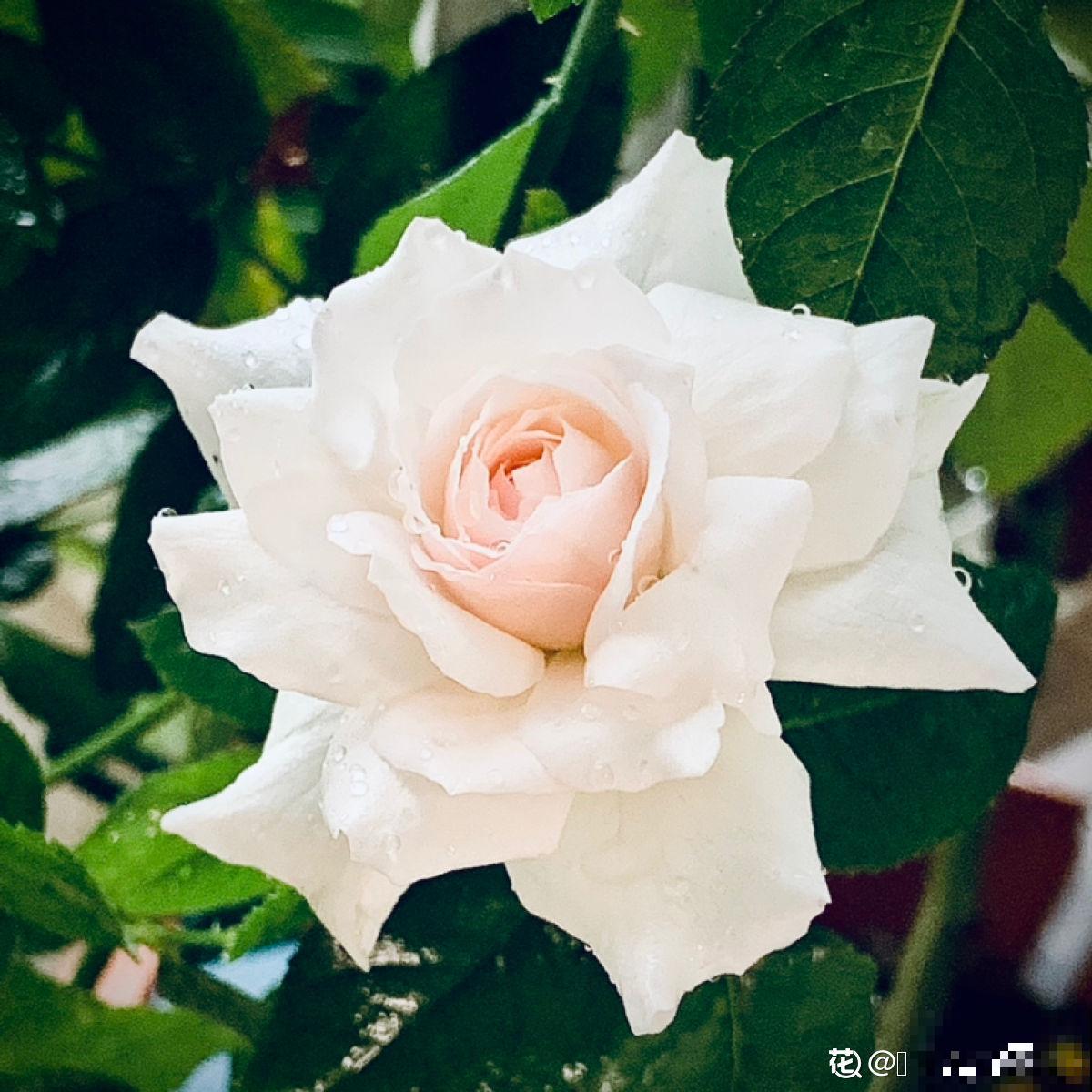 人的年纪越大，4件事情更要想开，生活才会更加如意