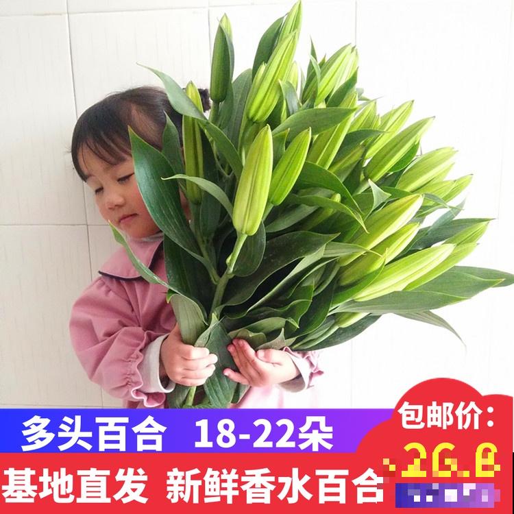 遇到这4种花，请主动远离，闻久了有麻烦