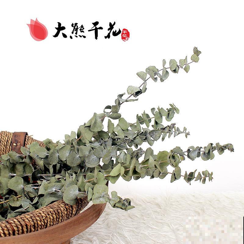 花束搭配必备！这5种花，做不了主花，没有它们却也不行