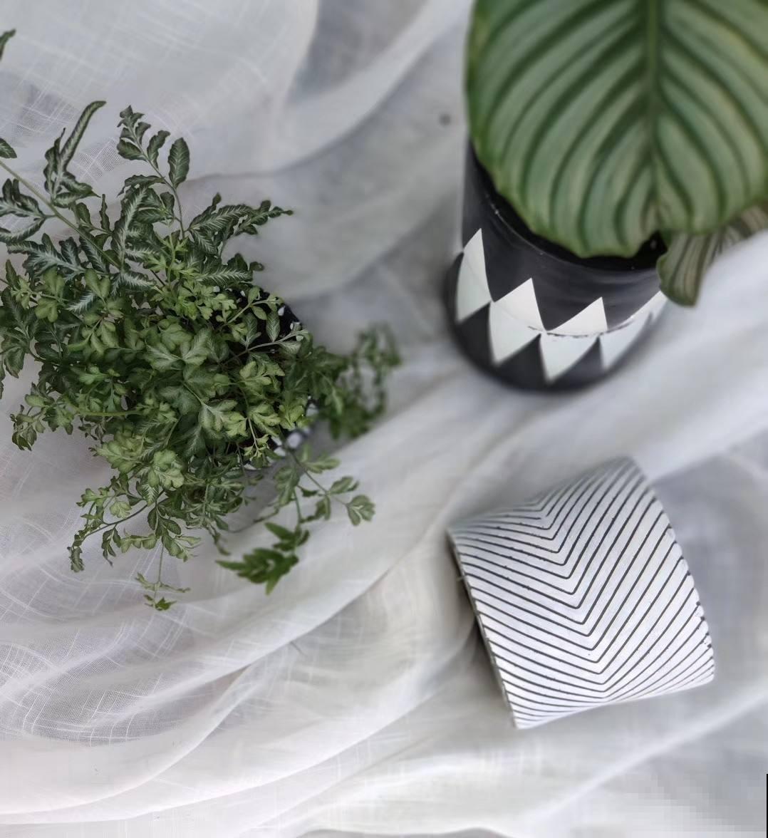 水泥也是养花好东西,千万别丢掉,省不少钱 水泥也是养花好东西,千万别丢掉,省不少钱