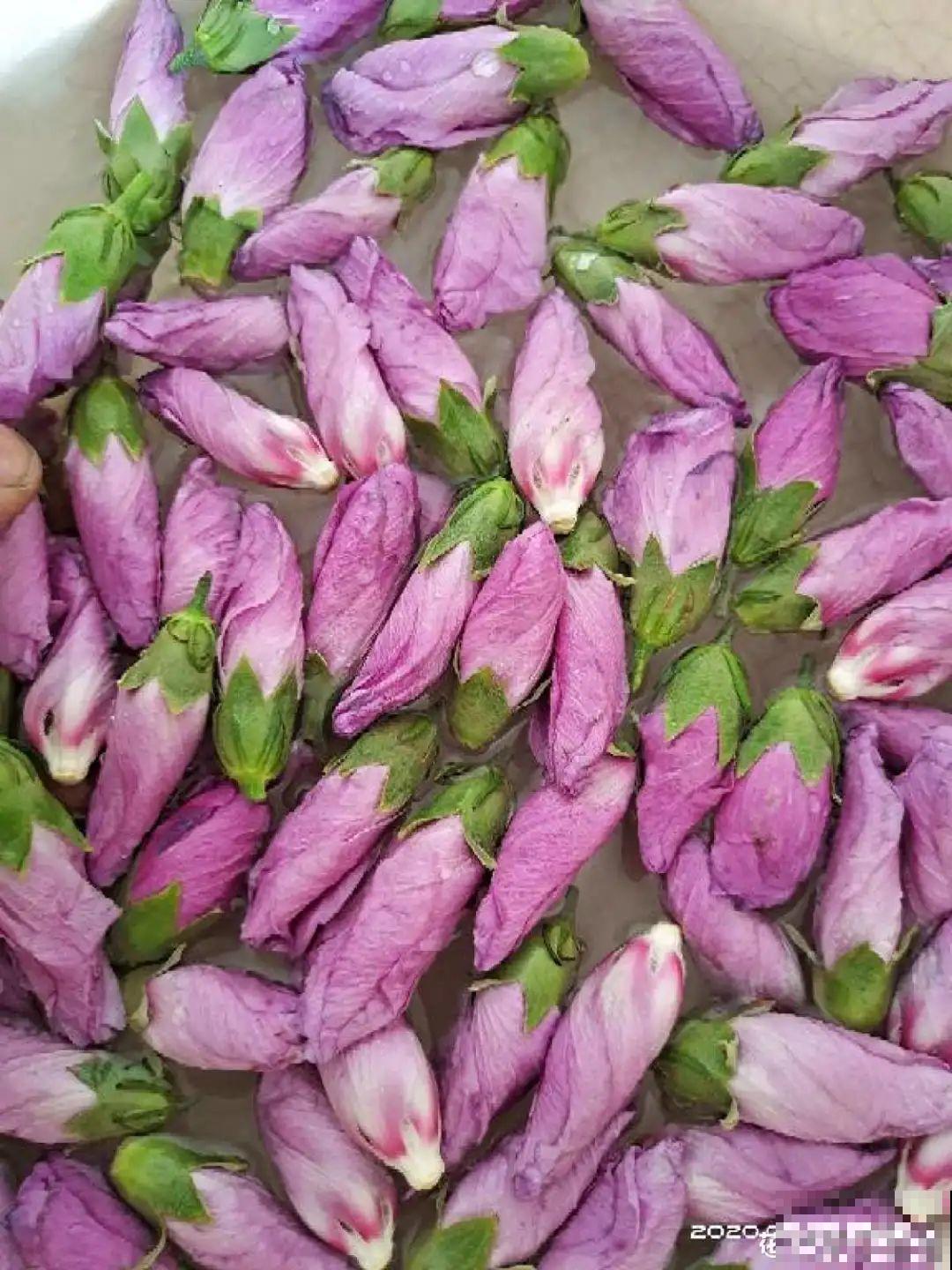 家门口的木槿花，裹上面炸一炸，外酥里嫩香喷喷