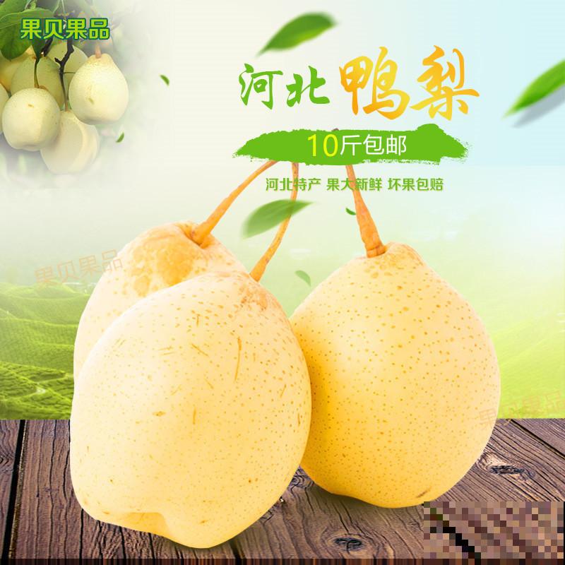 各个省份的代表水果，你家乡的特色水果是什么？