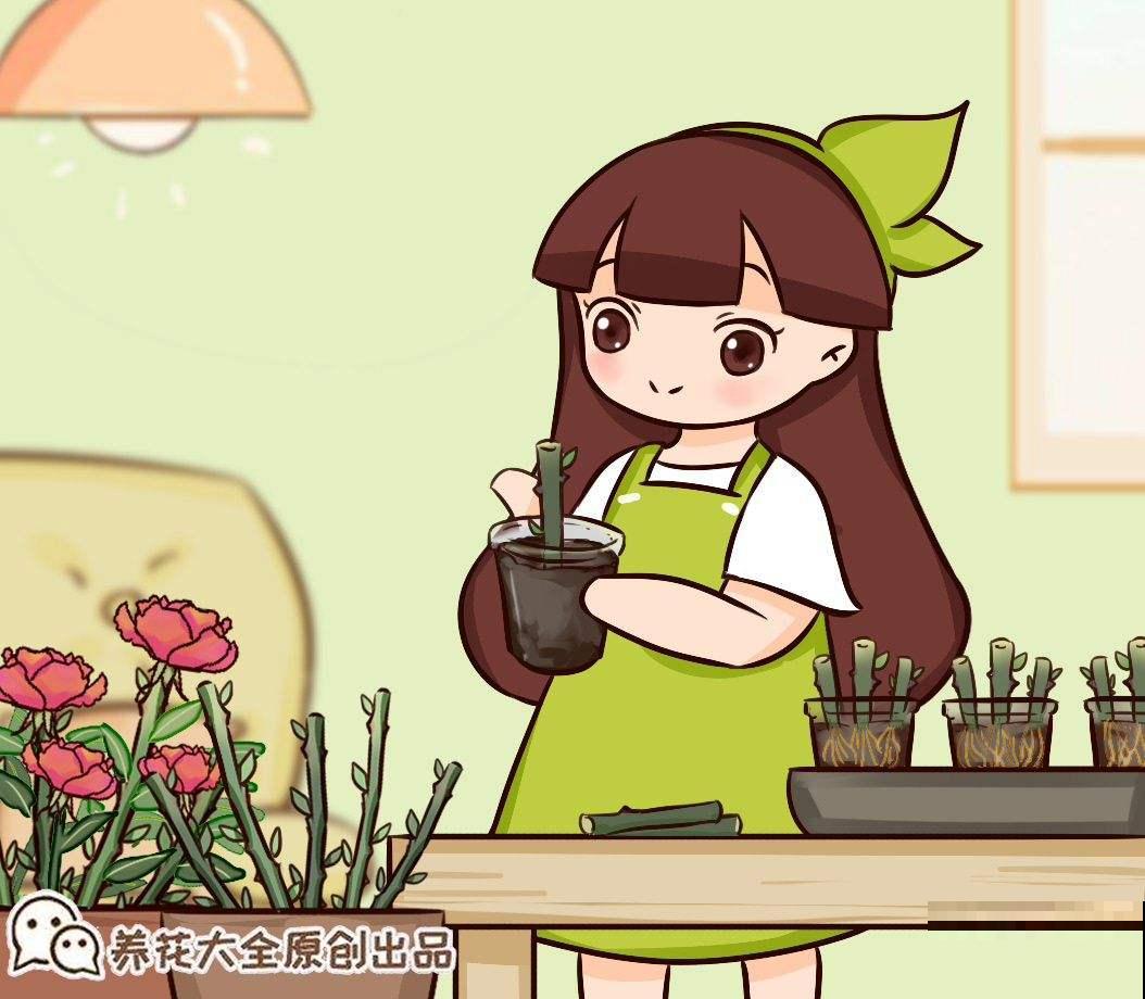 初秋养花，3种花别花钱买，掰个枝条插土里很快长芽