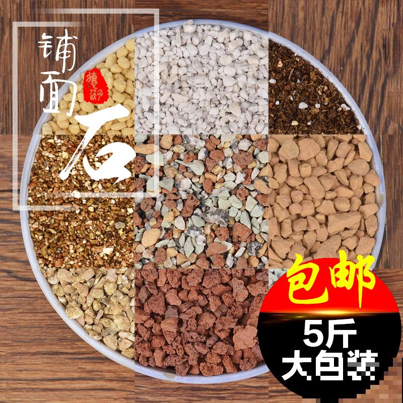 现在养多肉要注意4要点,别让多肉熬过夏天,却死在秋天 现在养多肉要注意4要点,别让多肉熬过夏天,却死在秋天