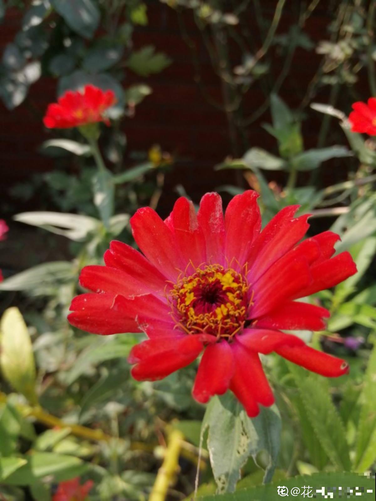 白露节气到，改变2点生活习惯，秋天才能健康度过