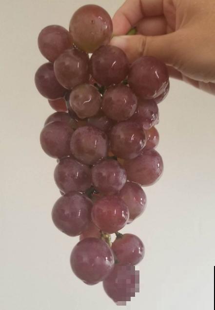 水果总洗不干净，试试这4个妙招，水果洗得安全放心