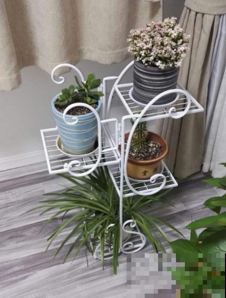 增加养花幸福感的“伴侣”，这3种必不可少，很容易就买到