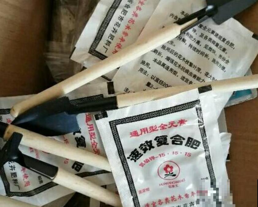 从零学起，4个养花基础知识，让养花变得更简单