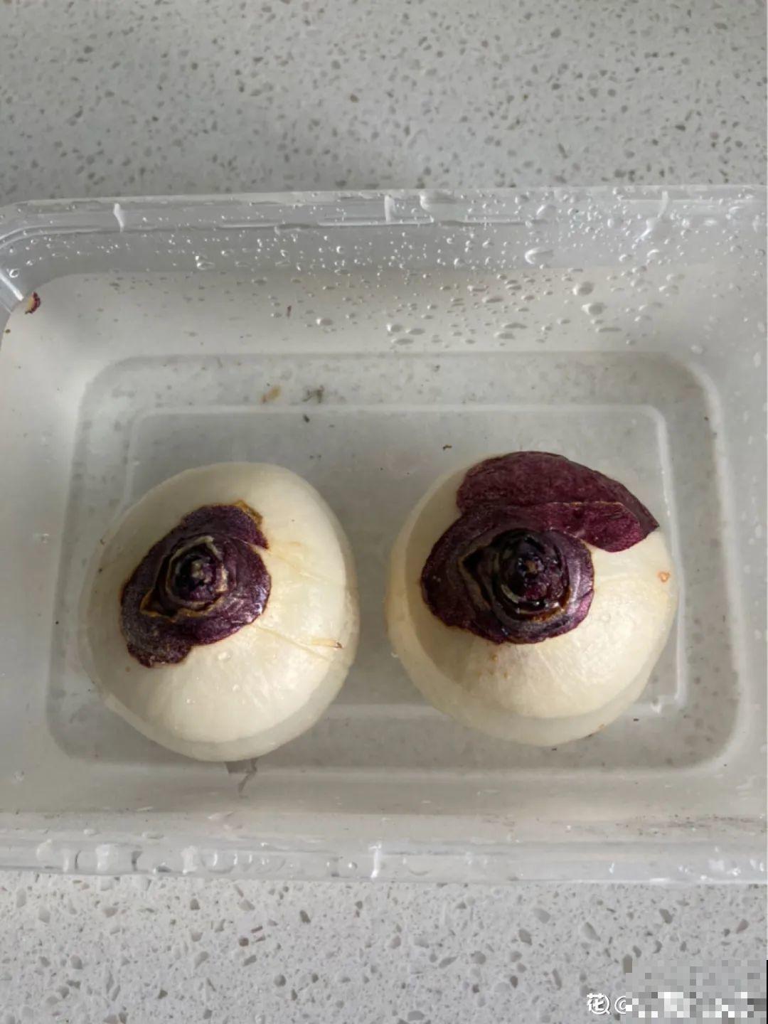 土里种个“洋葱球”,开出美艳花,香味飘满屋 土里种个“洋葱球”,开出美艳花,香味飘满屋