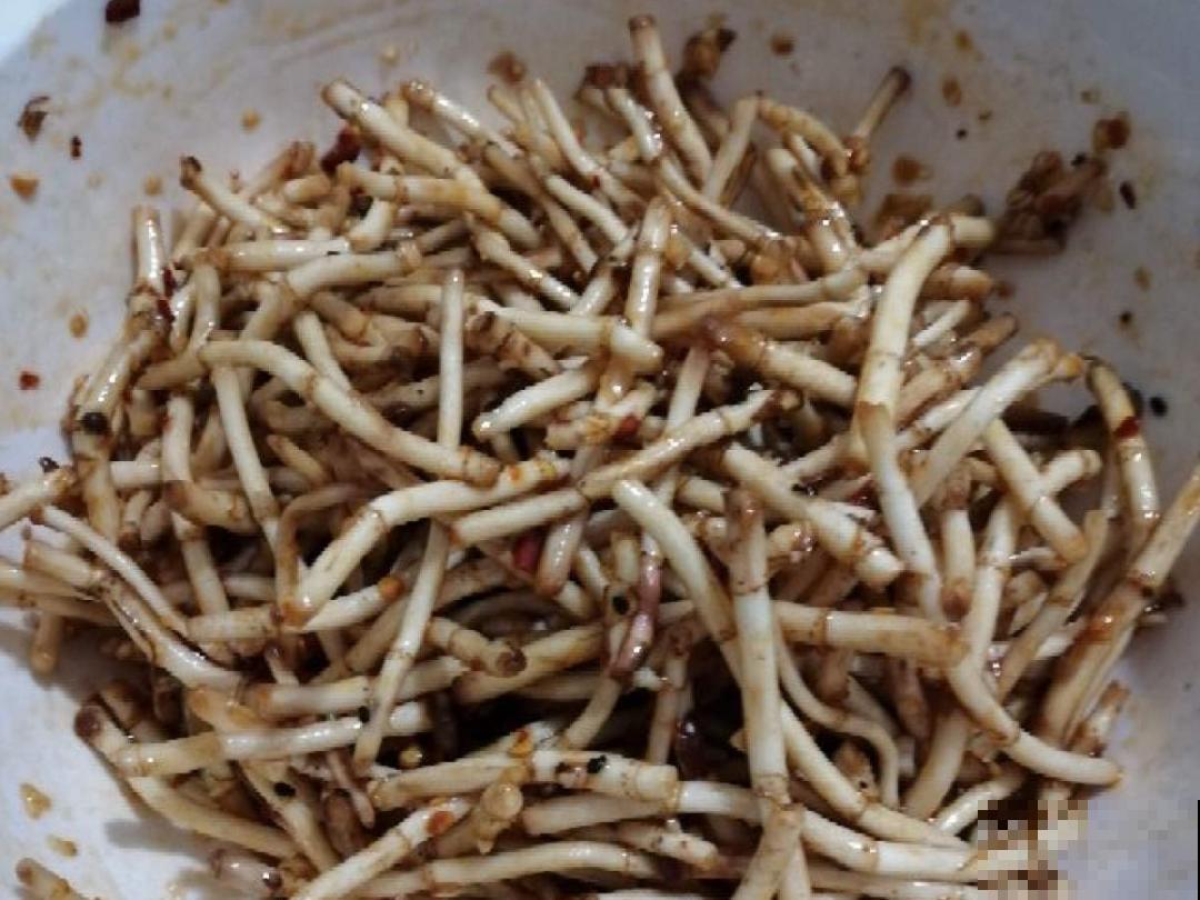 路边不起眼的草,种院子里用处大,还能清热降暑气 路边不起眼的草,种院子里用处大,还能清热降暑气