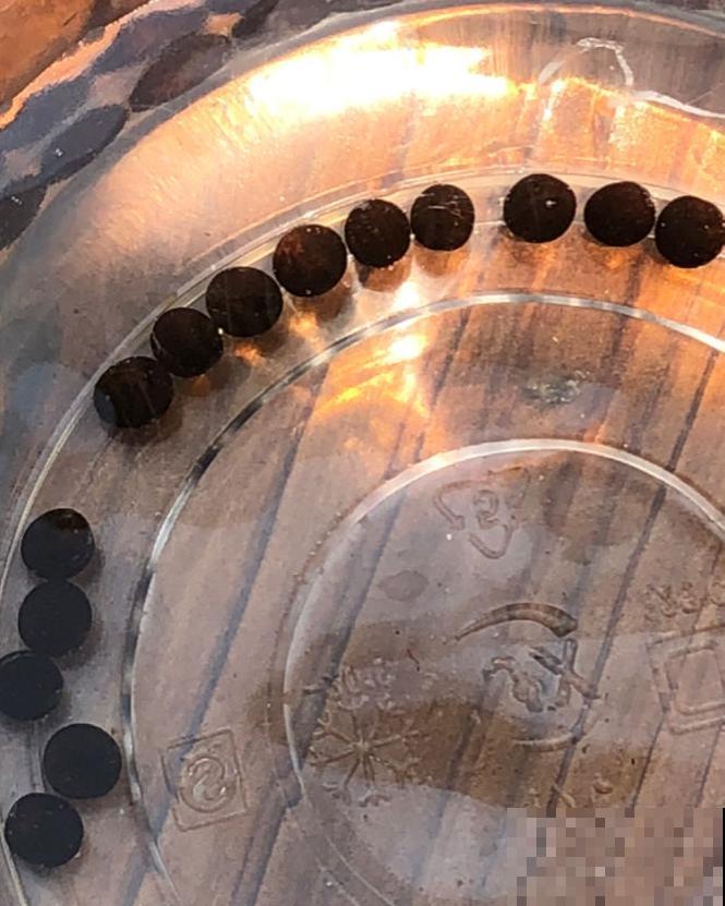 花市老板的养花绝招,今天全给你,一学一个准 花市老板的养花绝招,今天全给你,一学一个准