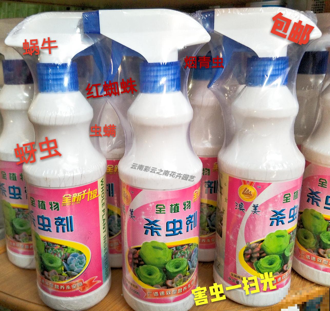 植物招虫怎么救？预防最重要，4招快速解决