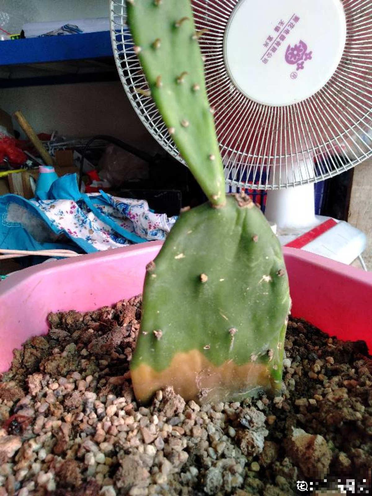 开空调最省电的4个小妙招，都在这里了！