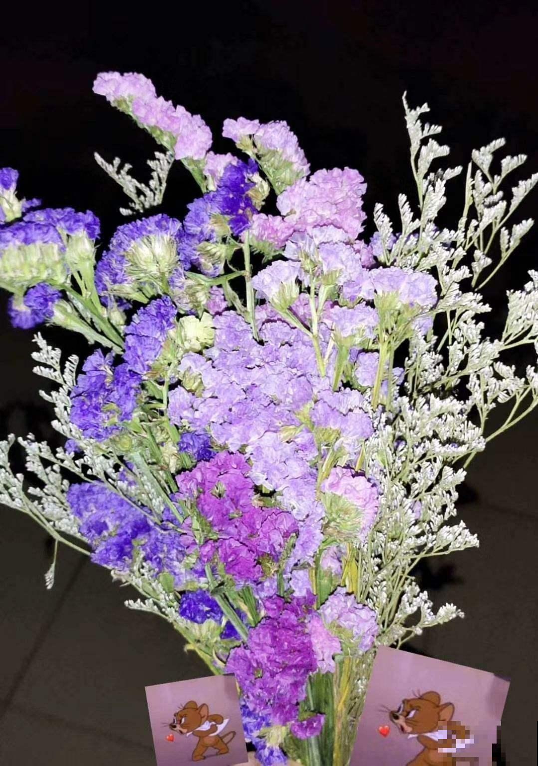 100种常见花,今天终于知道叫什么名了,建议收藏 100种常见花,今天终于知道叫什么名了,建议收藏