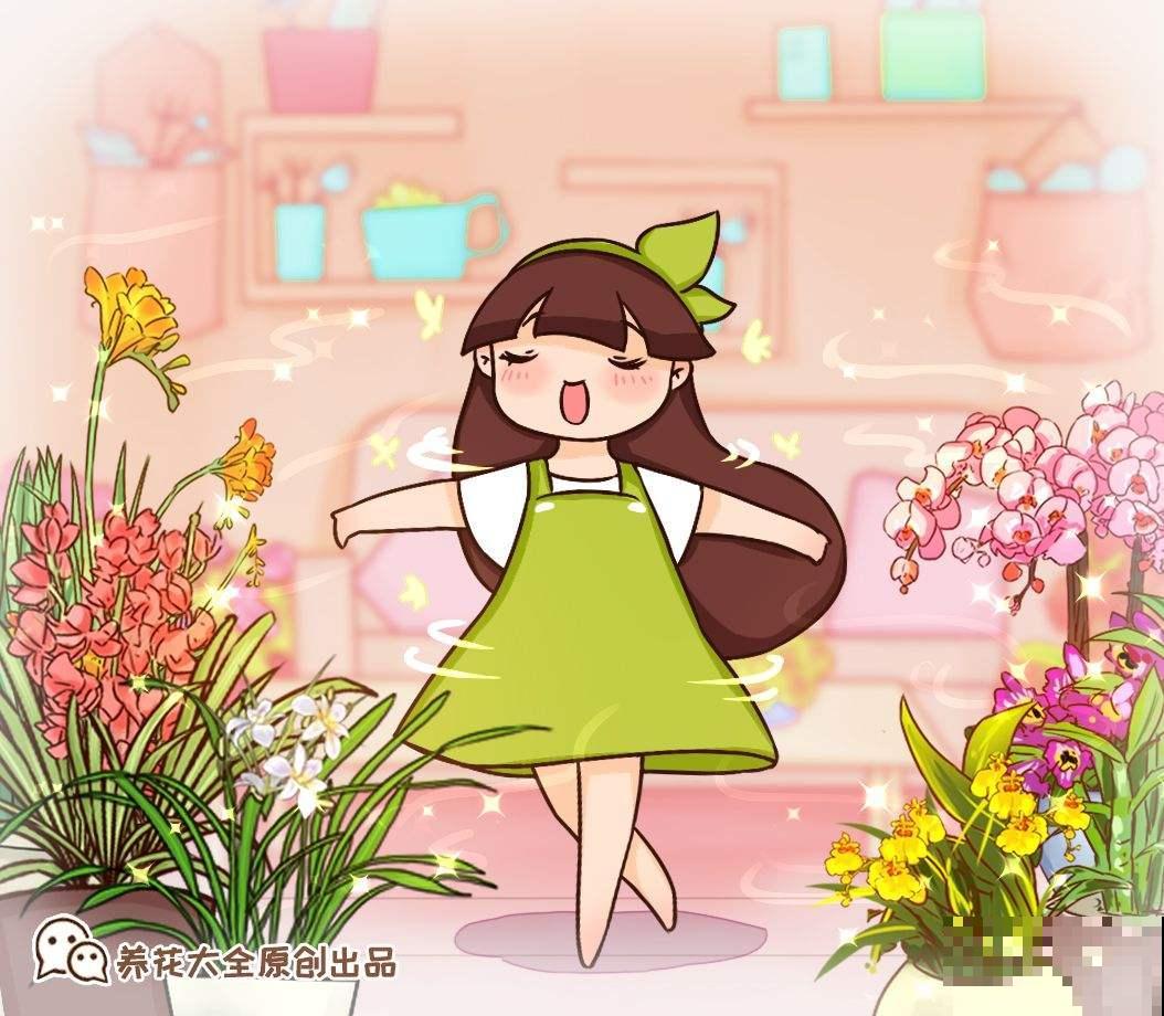 4种花,现在购买正合适,再晚一个月价格翻一倍 4种花,现在购买正合适,再晚一个月价格翻一倍