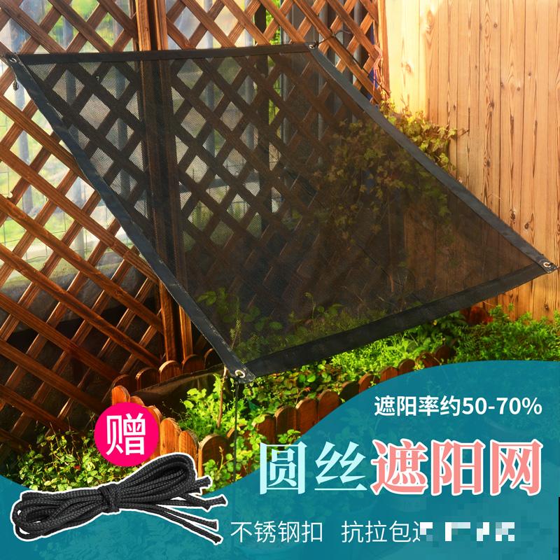 室内明明很凉快，怎么植物还枯萎？做好室内养护，植物安稳过夏天