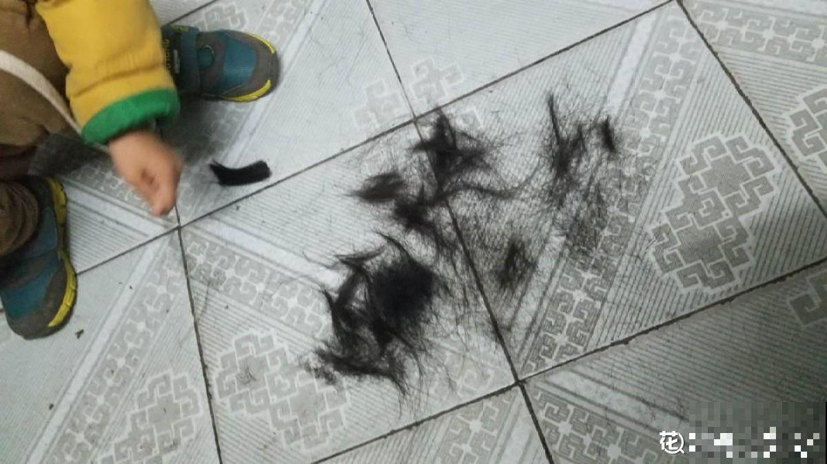 秋后最困扰的事儿,就是大把掉头发,6个妙招改善掉发 秋后最困扰的事儿,就是大把掉头发,6个妙招改善掉发