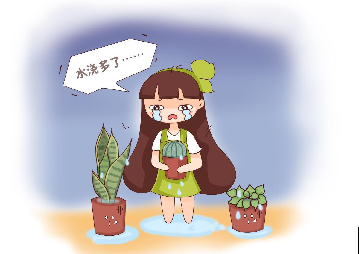 从零学起，4个养花基础知识，让养花变得更简单