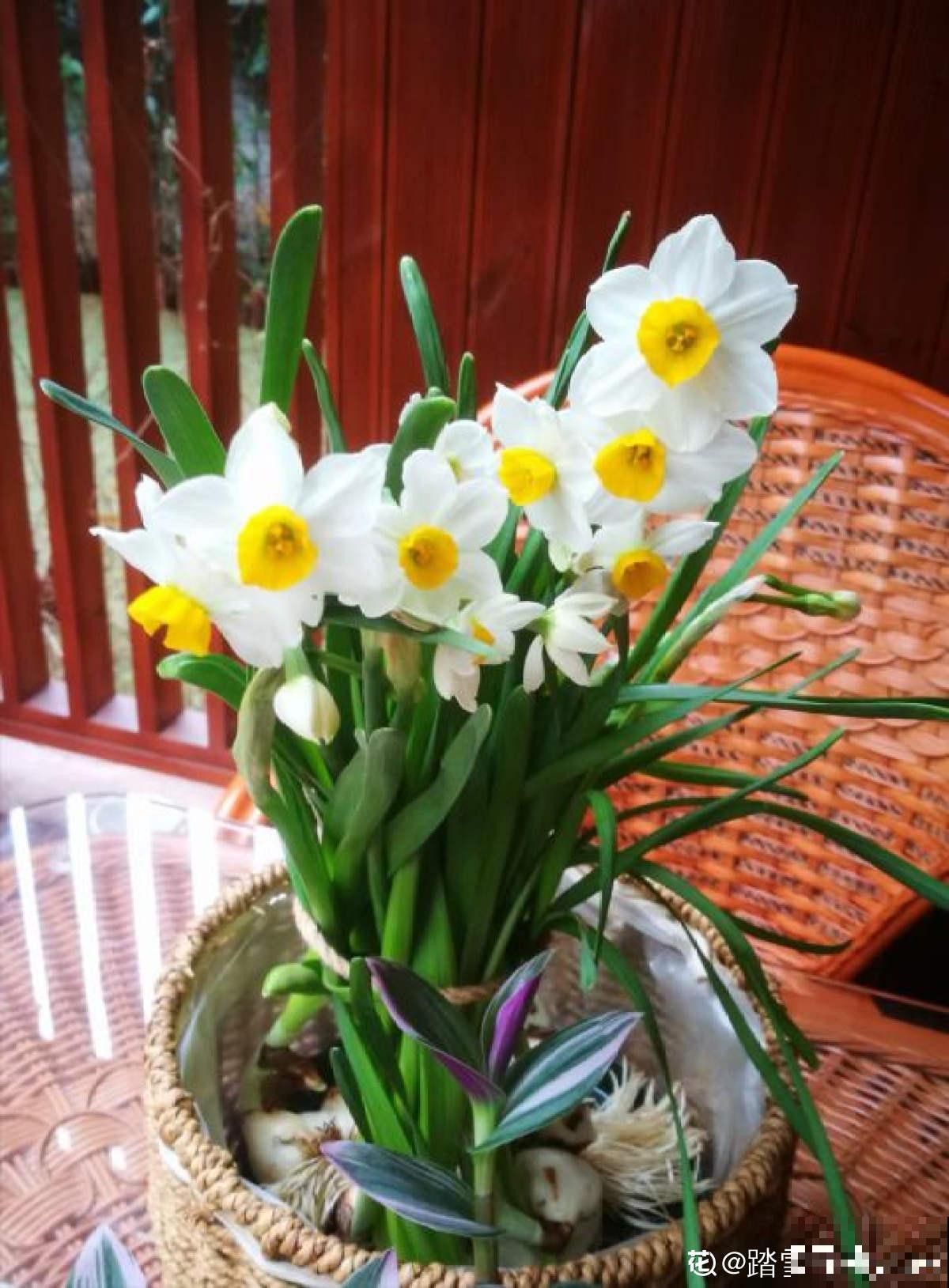 遇到这4种花，请主动远离，闻久了有麻烦