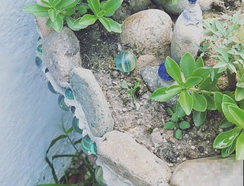 想养好花，选花盆很关键，5种材质花盆知识，快进来了解一下