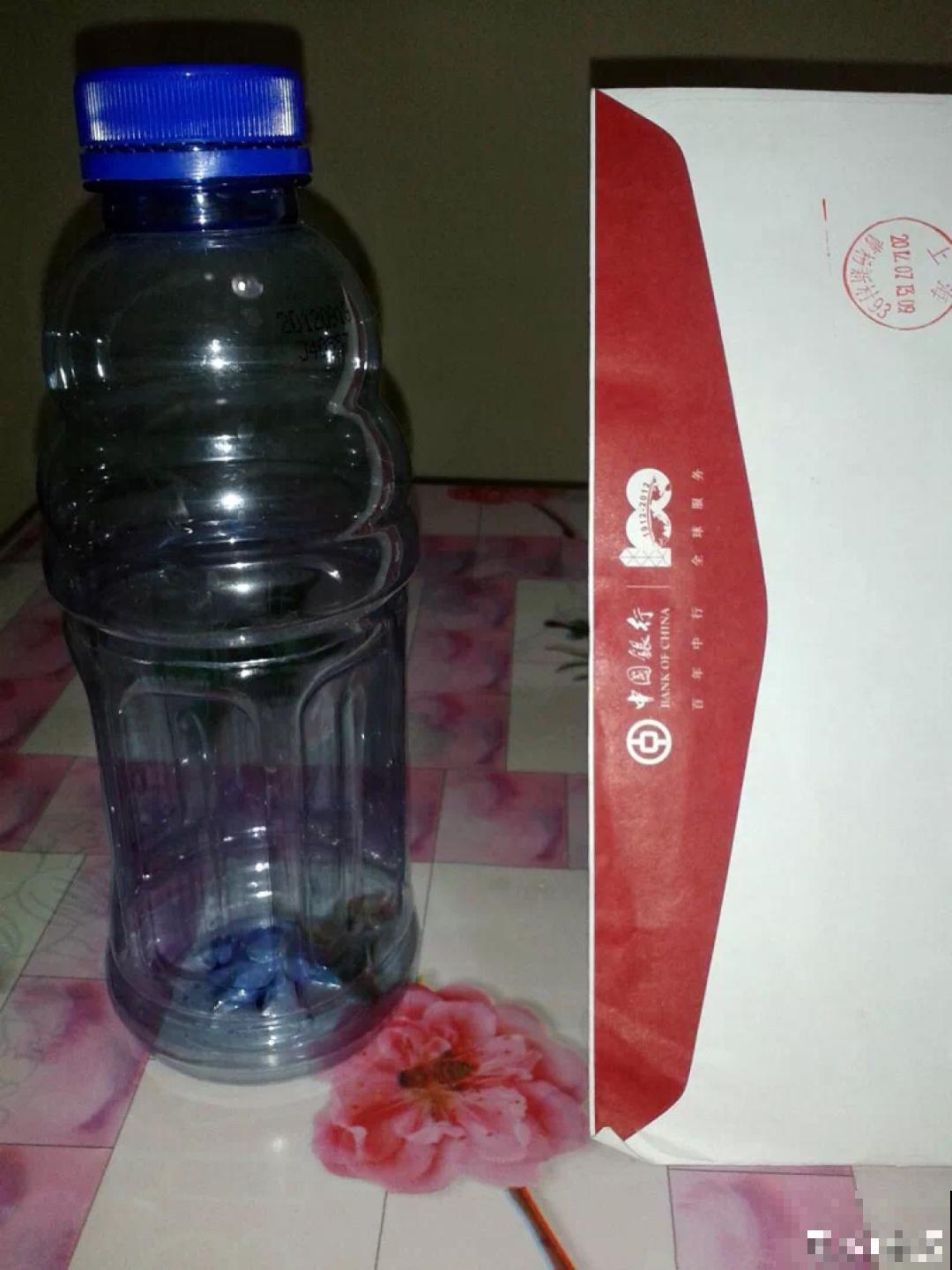 旧筷子、老干妈瓶别扔，拿来养花效果好，省下一笔养花钱