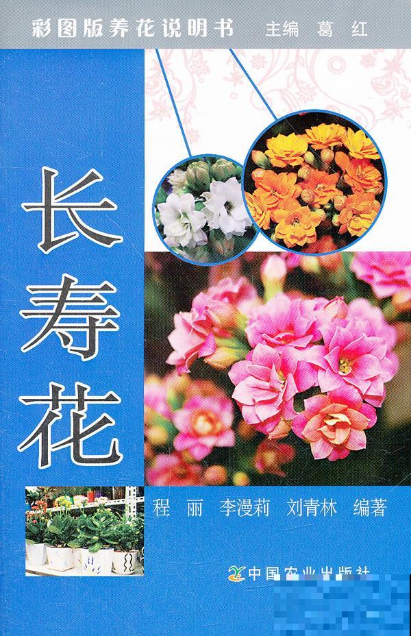 别只知道养绿萝，每个家里适合养什么，我来告诉你